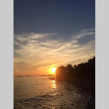 Διαμέρισμα Viva 1