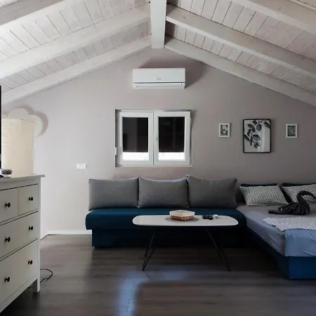 Viva 1 * Ρόβινι